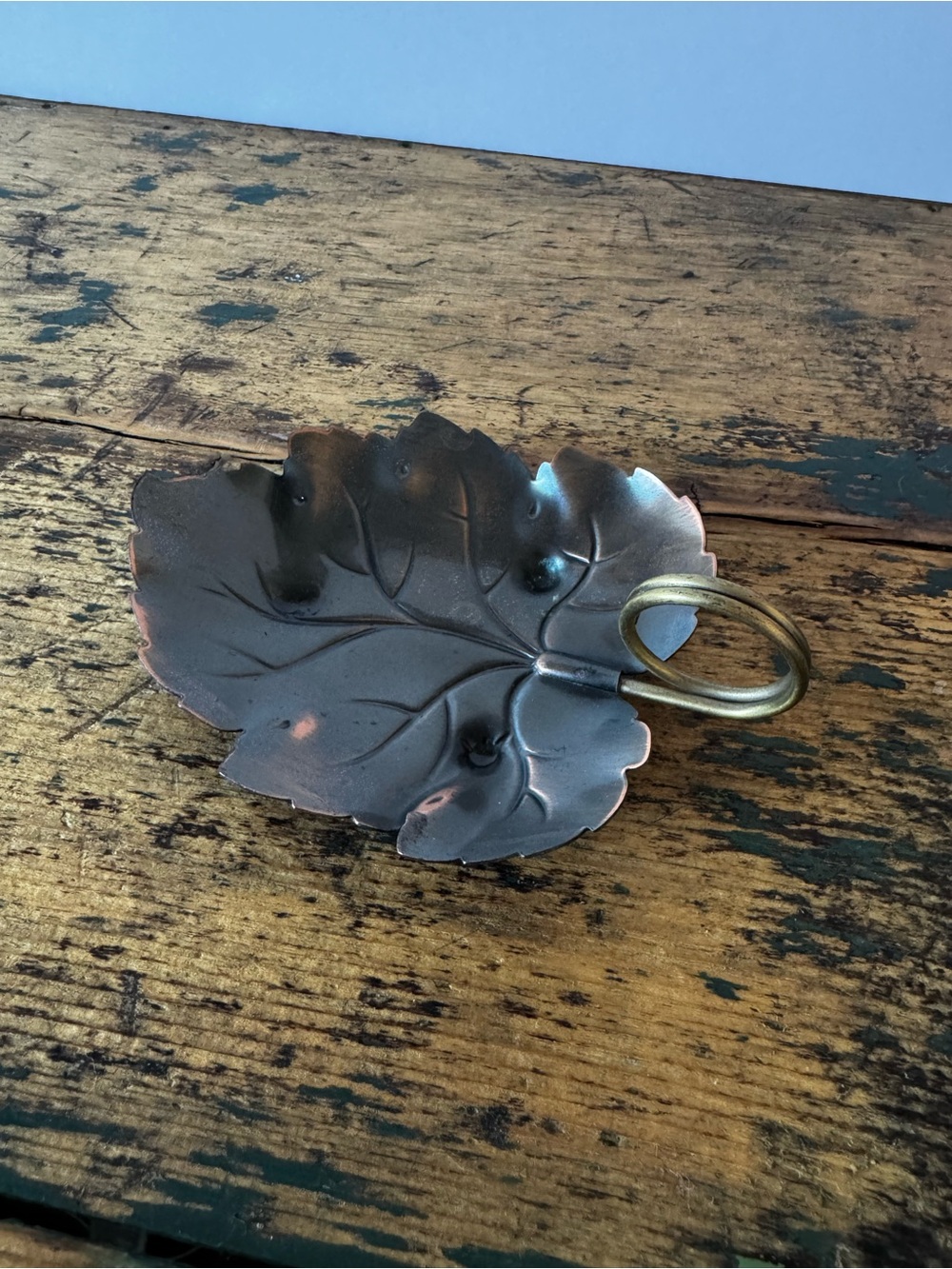 Leaf Trinket Dish with Brass Ring in Dark Brown - Picture 6 of 6